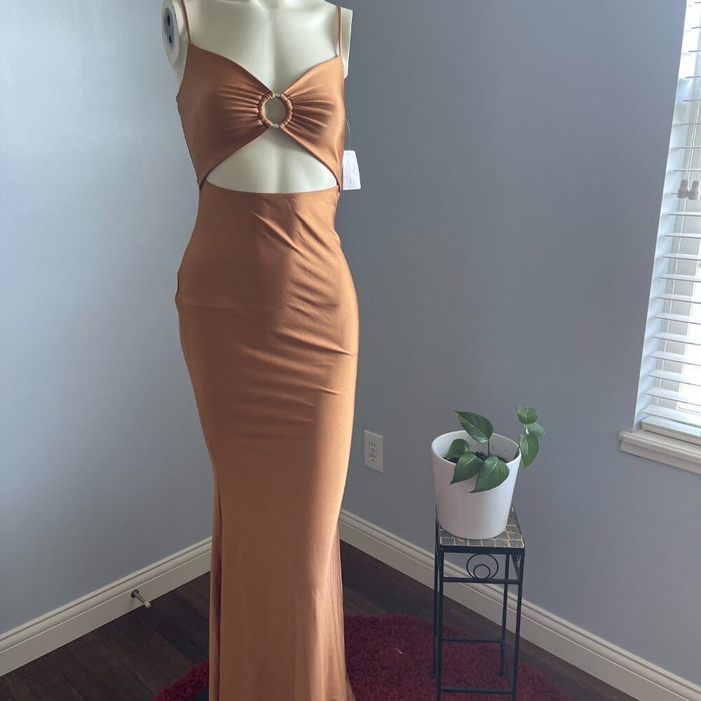 Beautiful Silhouette Copper Gown